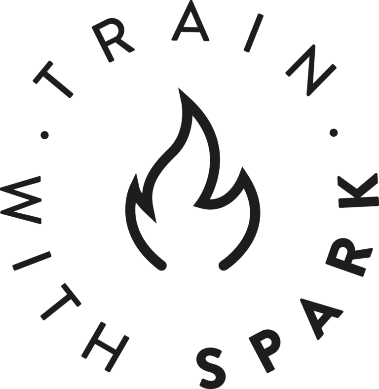 Spark 04 2 768x788