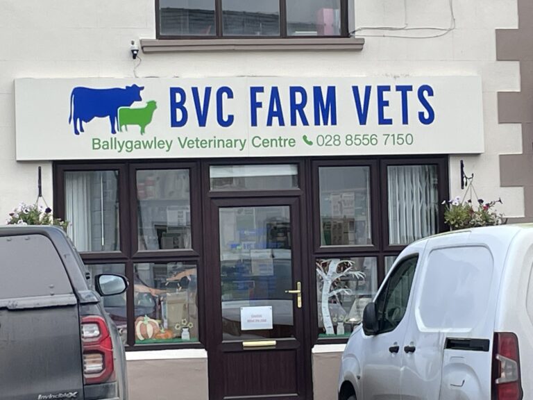 BVC Farm Vets 768x576