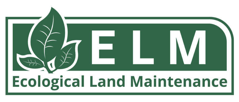 ELM LOGO Long 768x328
