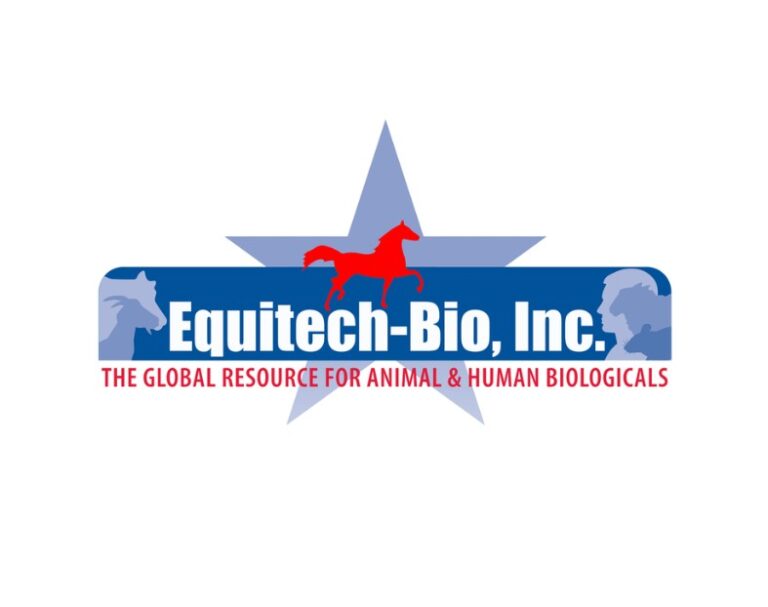 Screenshot 2026 04 06 175404 768x607